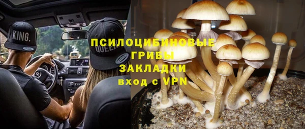 ALPHA PVP Волосово