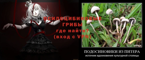 ALPHA PVP Волосово