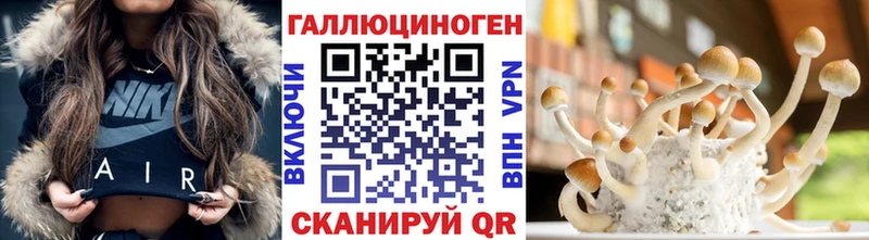 Псилоцибиновые грибы MAGIC MUSHROOMS  Чудово 